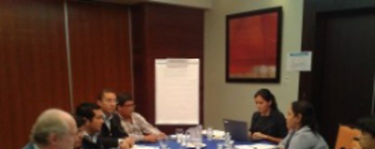 Panam elabora un plan de seguridad alimentaria