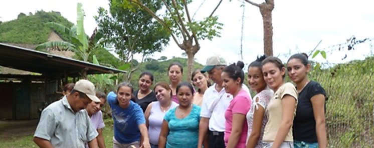 Estudiantes universitarios elaboran estufa Ecolgica