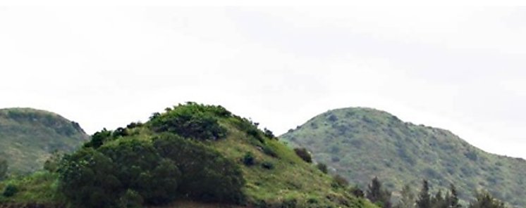 Promueve FAO proyectos en beneficio de pequeos agricultores