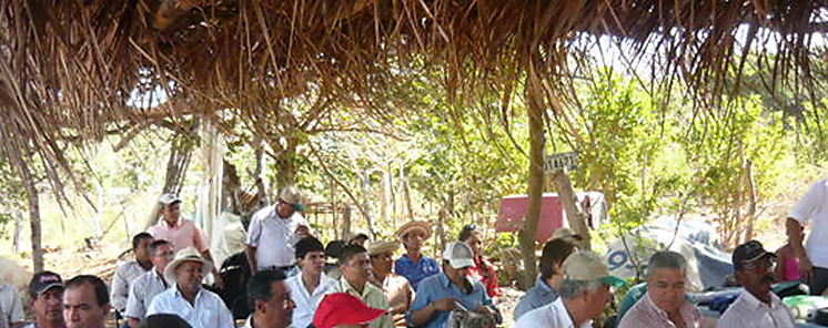 Innovacin tecnolgica en el cultivo de cebolla
