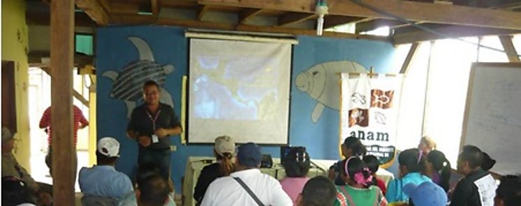 ANAM Bocas inici lanzamiento del desove de la tortuga