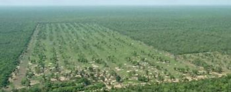 Los cambios en la normativa de especies invasoras causarn perjuicios irreparables para la biodiversidad y pdidas millonarias