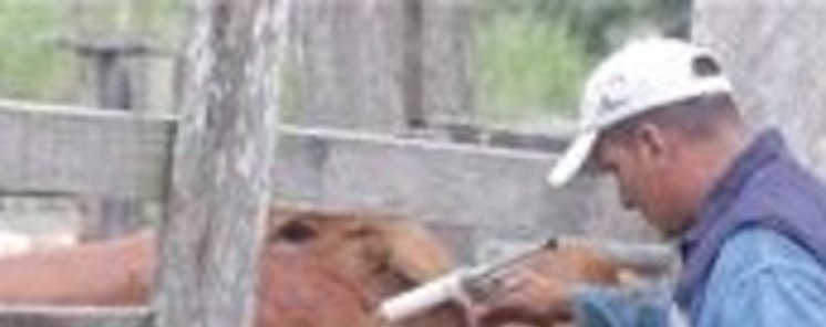 Instalarn banco de vacunas