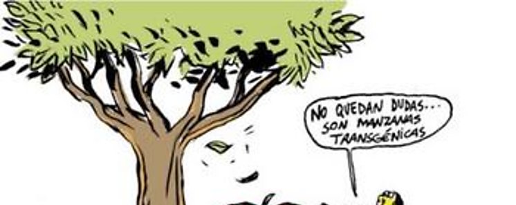 Son inocuos los transgnicos