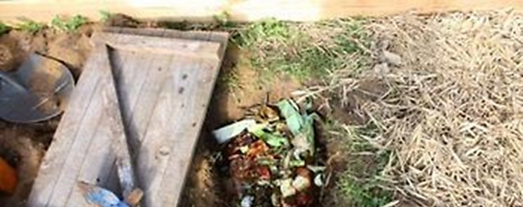Como atraer lombrices a la huerta