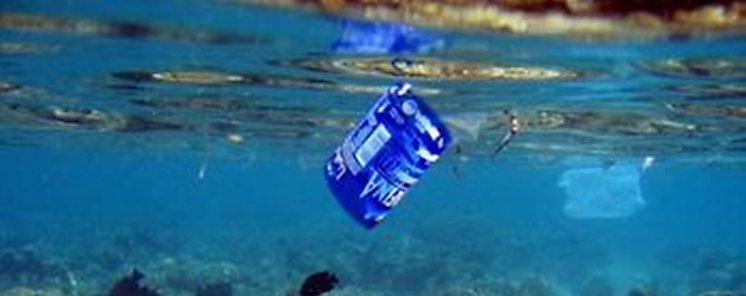 Descubren roca en el ocano que se forma al derretirse la basura plstica