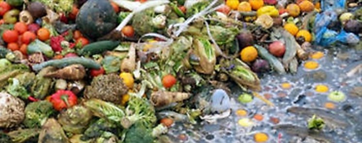 La alimentacin que contamina