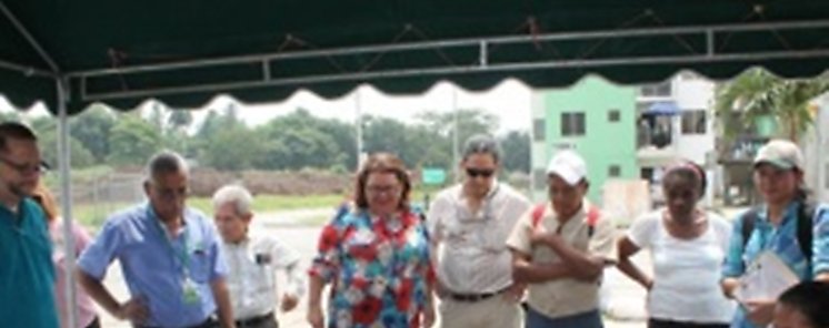 Impulsan el fomento de la agricutura urbana