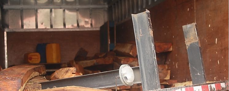 Detienen a cuatro sospechosos de delito ambiental