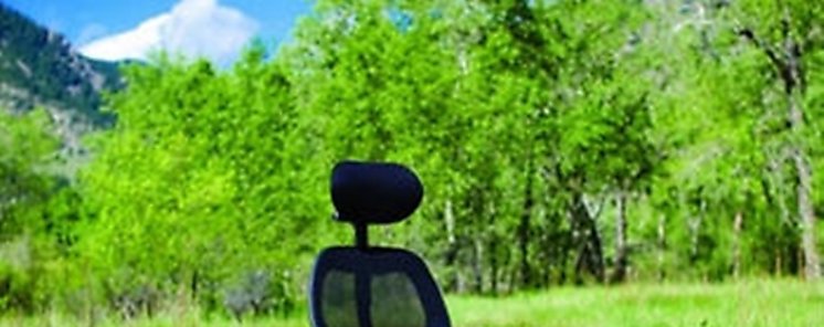 Qu hacer en la oficina para ayudar a reducir el cambio climtico