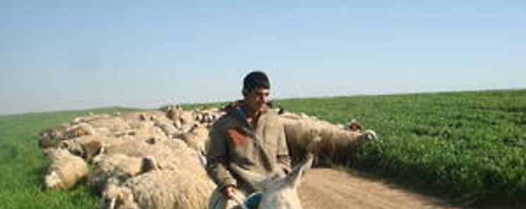 FAO premia a latinoamericanos en concurso Alimentar al Mundo 