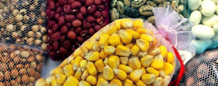 Cambio climtico mercado global y mecanismos de acceso y control sobre la biodiversidad