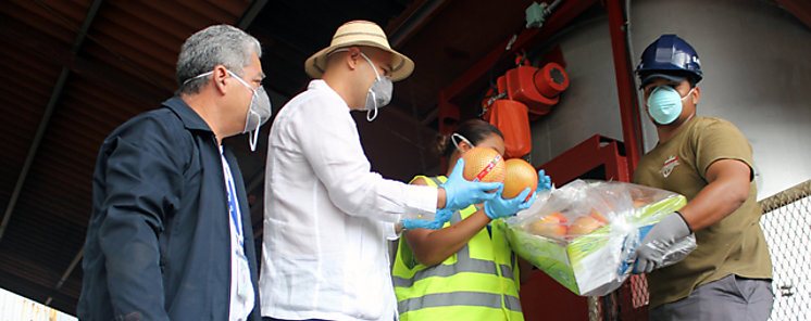 AUPSA decomisa e inicera frutas procedentes de China