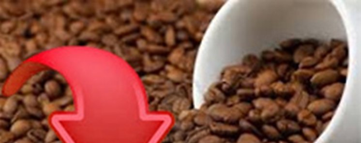 Cae 64 por ciento produccin de caf en Panam