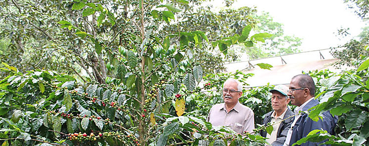Evaluan plan Nacional Fitosanitario 