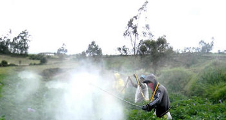 Reportan 175 campesinos paraguayos afectados fumigaciones